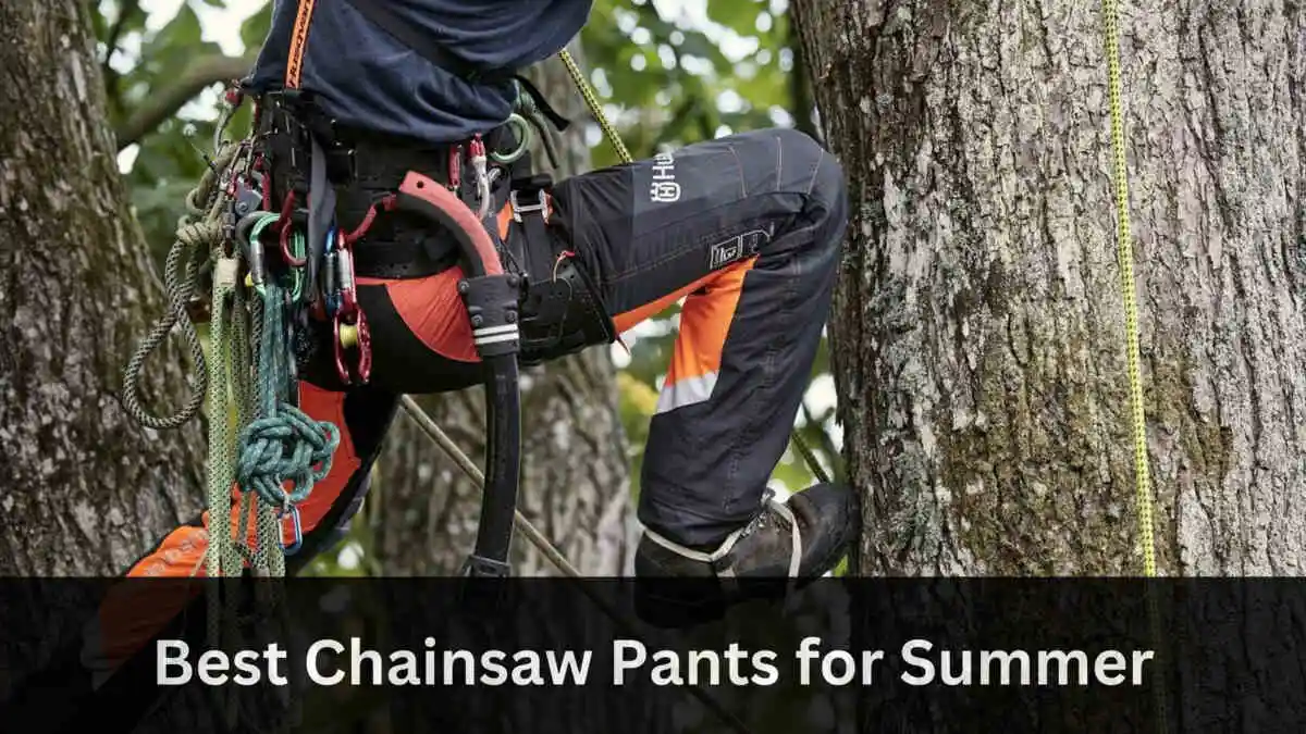 5 Best Chainsaw Pants 2024